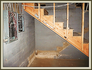 Basement Conversion Custom Wine Cellars Los Angeles