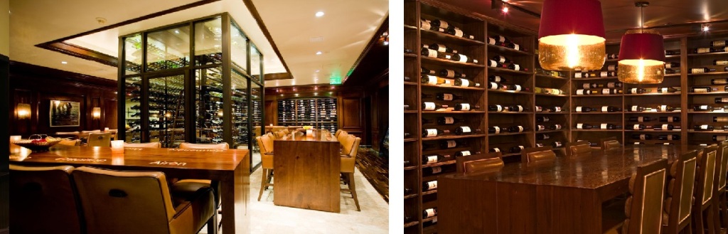 WIne Cellars built at home